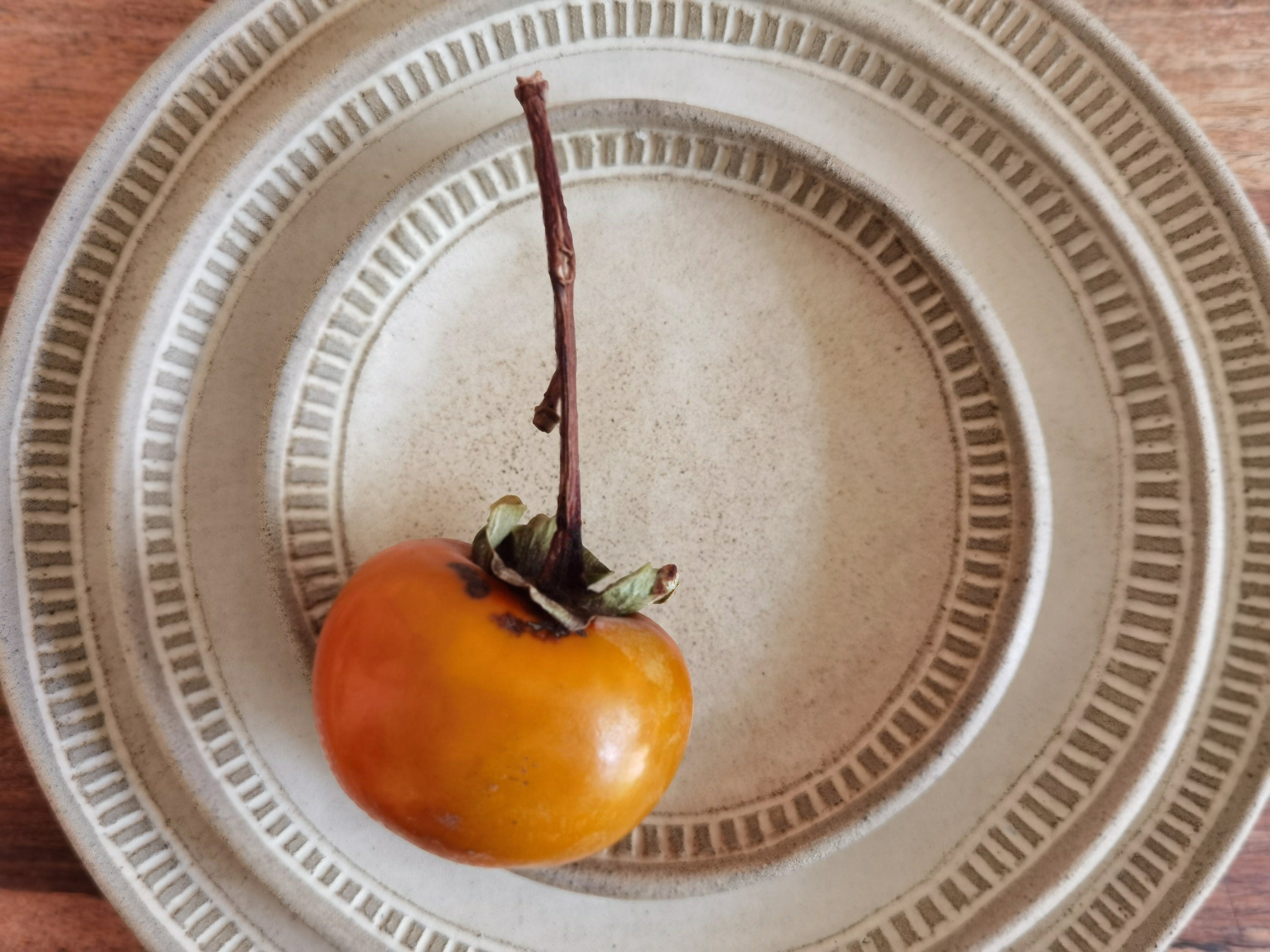 Set of 2 Beige Ceramic Dinner Plates: Engraved Stoneware